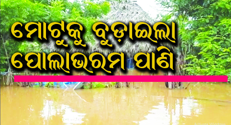 ଲଗାଣ ବର୍ଷା  :ମୋଟୁକୁ ବୁଡ଼ାଇଲା ପୋଲାଭରମ ପାଣି 